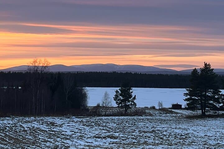 Levi Wilderness Twilight Adventure: Reindeer Farm & Lompolo Cabin Experience