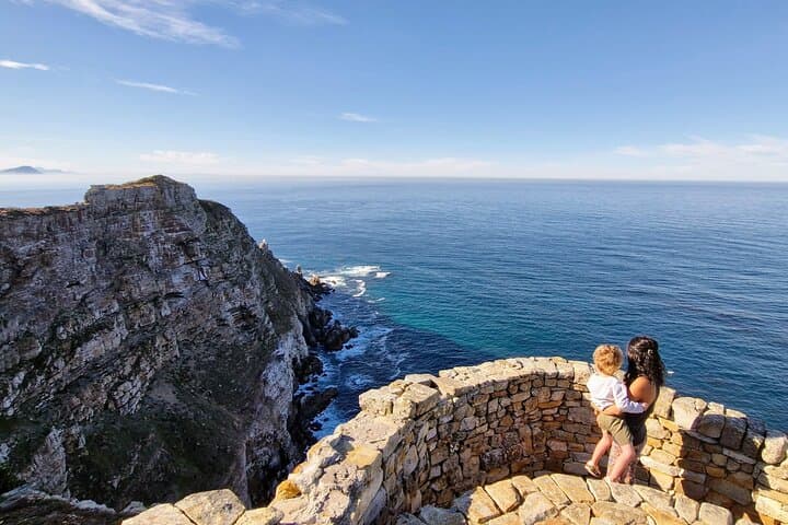 Private Driver Day Charter: Cape Peninsula, Winelands & Hermanus from Cape Town photo 4