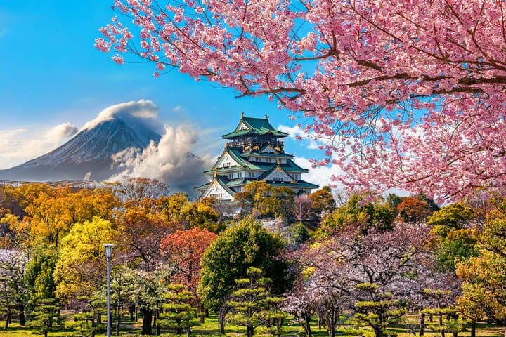 Osaka 3-Day City Pass: Harukas 300, Osaka Castle & Universal Studios photo 5