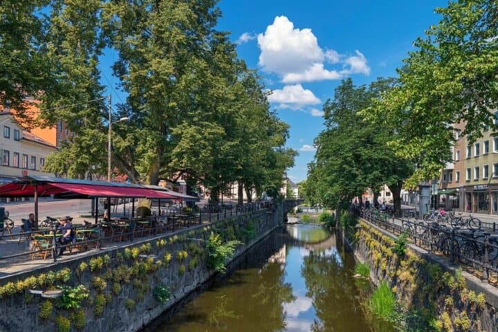 Uppsala Half-Day: Cathedral, Viking Mounds & Student Streets from Stockholm photo 4
