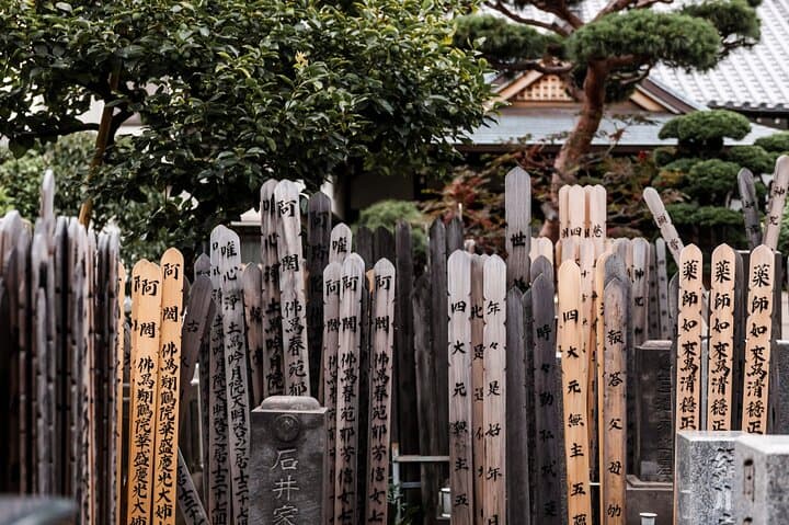 Private Tokyo History Walking Tour with Local Guide — Edo to Modern photo 5