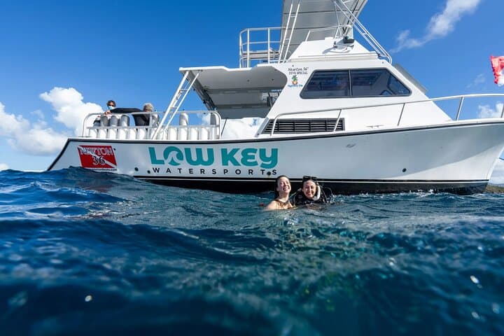 Two-Tank Morning Dive Trip off St. John — Best Reef Sites for Certified Divers photo 3