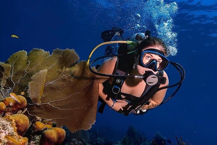 Two-Tank Morning Dive Trip off St. John — Best Reef Sites for Certified Divers photo 5