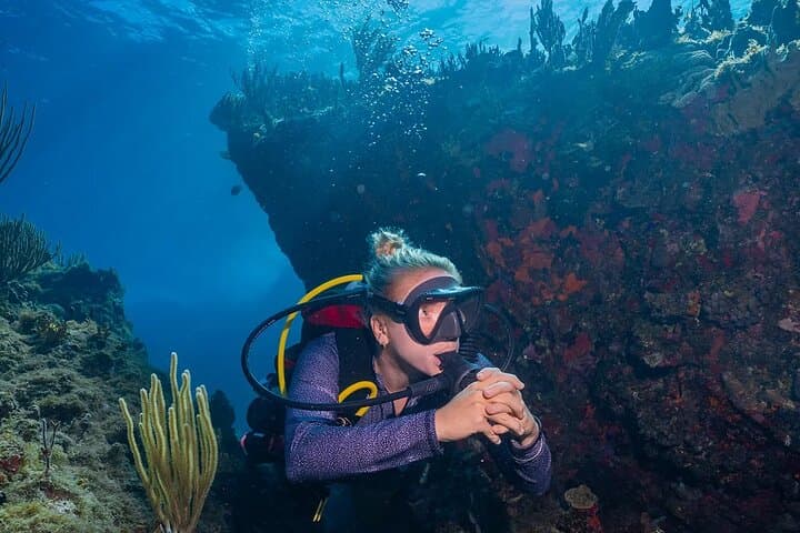 Two-Tank Morning Dive Trip off St. John — Best Reef Sites for Certified Divers photo 6