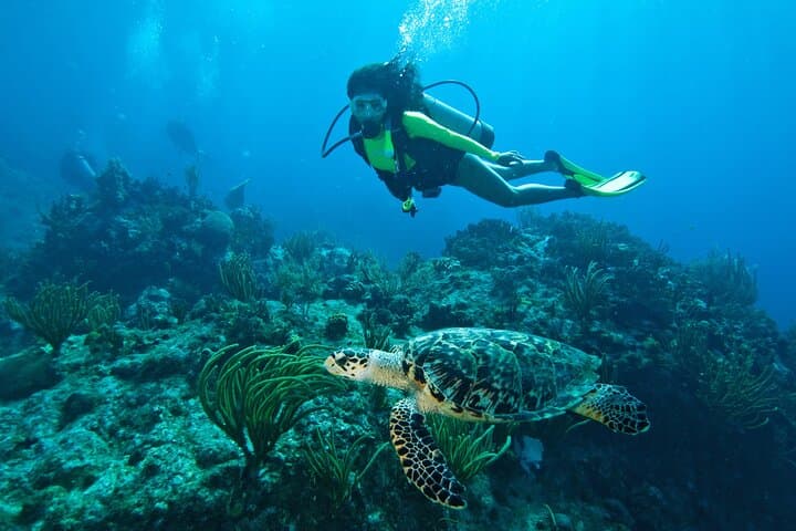 Two-Tank Morning Dive Trip off St. John — Best Reef Sites for Certified Divers