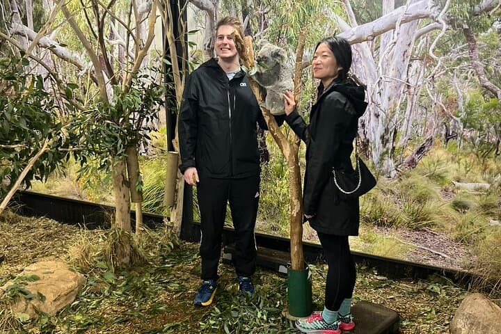 Blue Mountains Private Tour: Scenic World, Wildlife & Hidden Lookouts photo 4