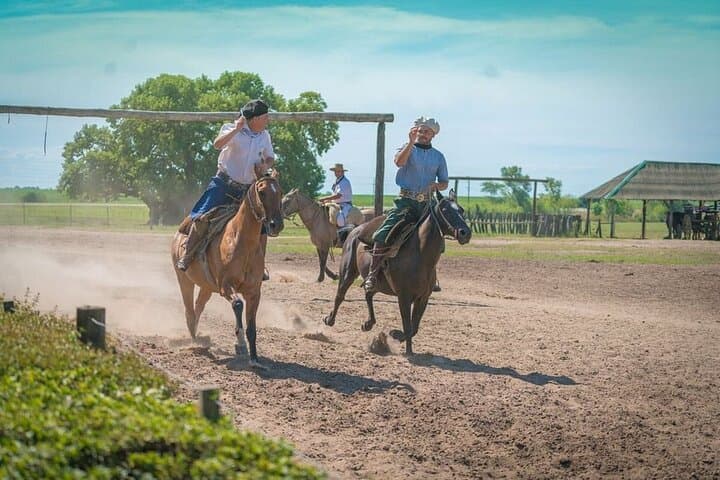 Gaucho Fiesta at Estancia Santa Susana: Day Ranch Experience from Buenos Aires