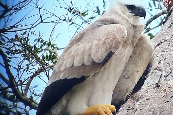 Morning Wildlife and Canal Views: Soberanía National Park Day Tour