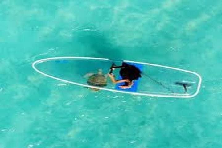 Glass-Bottom SUP Rentals in Condado Lagoon: Self-Guided Paddle in San Juan photo 5