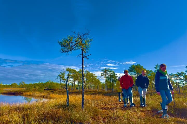 Bog-Shoe Hiking in Kõnnu Suursoo: Estonia's Wild Peatlands photo 4