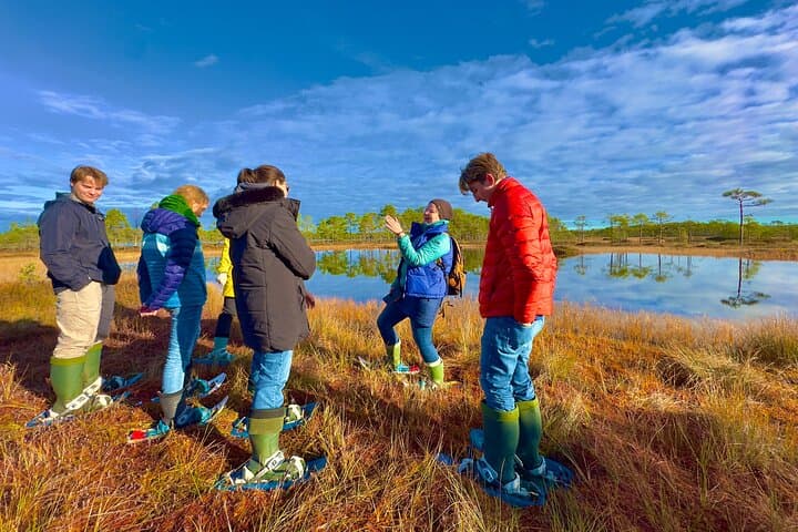 Bog-Shoe Hiking in Kõnnu Suursoo: Estonia's Wild Peatlands photo 1