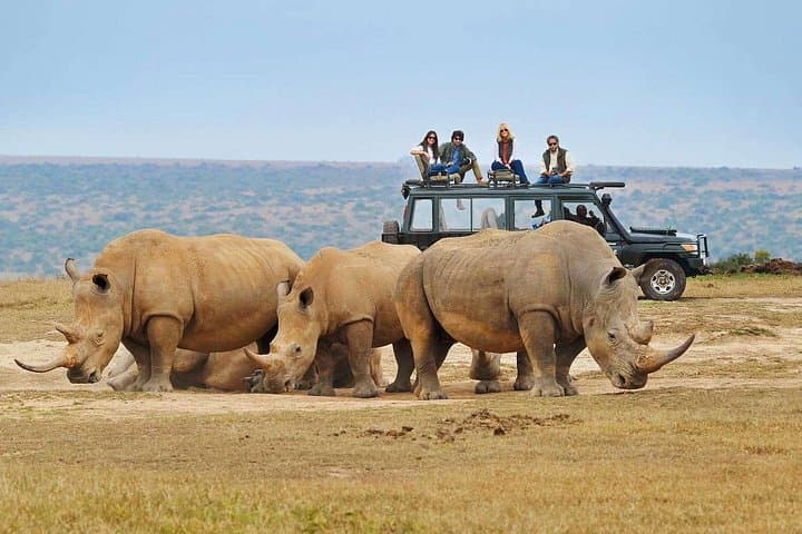 Akagera One-Day Group Safari from Kigali: Big Five, Lake Ihema & Birdwatching