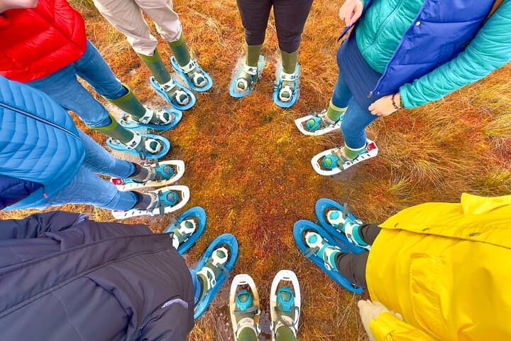 Bog-Shoe Hiking in Kõnnu Suursoo: Estonia's Wild Peatlands photo 3