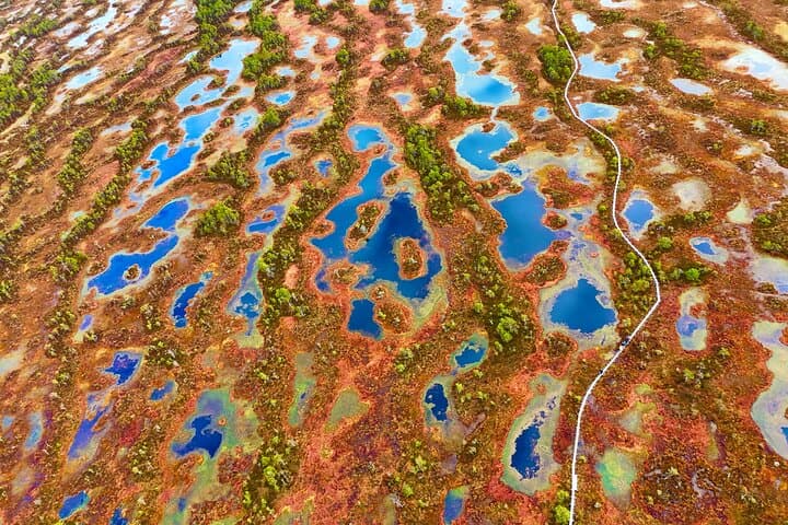 Bog-Shoe Hiking in Kõnnu Suursoo: Estonia's Wild Peatlands photo 2
