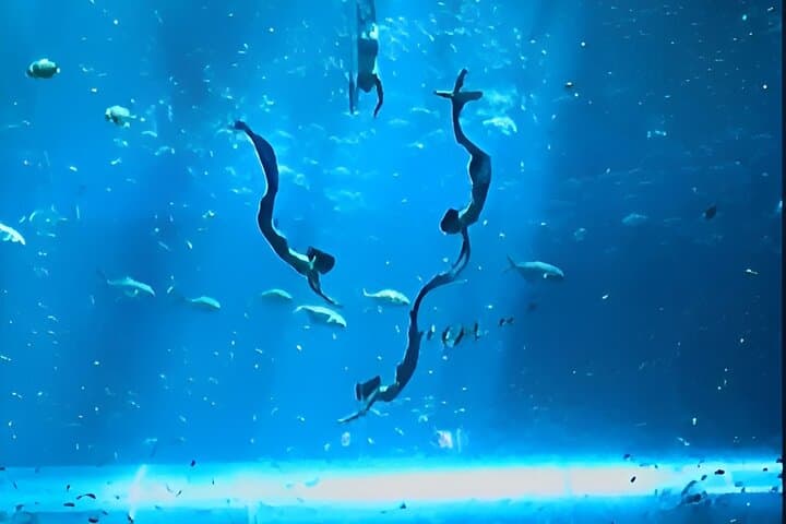 VinWonder Phu Quoc: Guide to the Theme Park, Aquarium, Waterpark & Safari photo 2