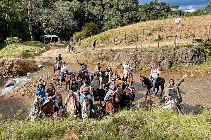 Horseback Riding from Medellín: Scenic Trails & Paisa Coffee Country photo 2