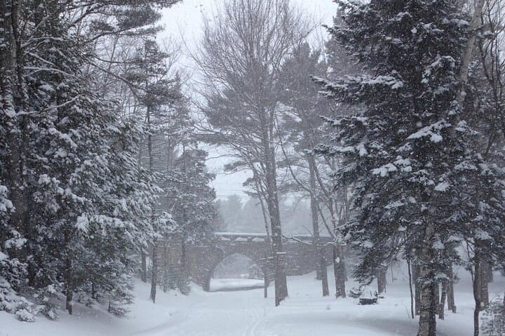 Acadia National Park Winter Driving Tour — Bar Harbor Private Jeep Experience photo 6