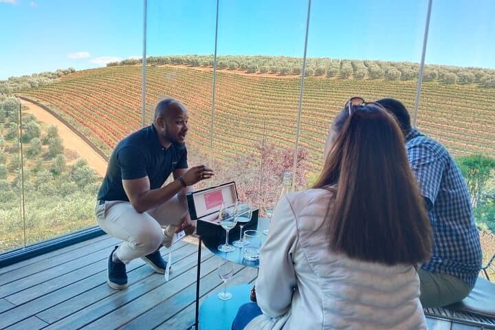 Private Cape Winelands Wine Tasting Tour: Tokara, Delheim & Fairview