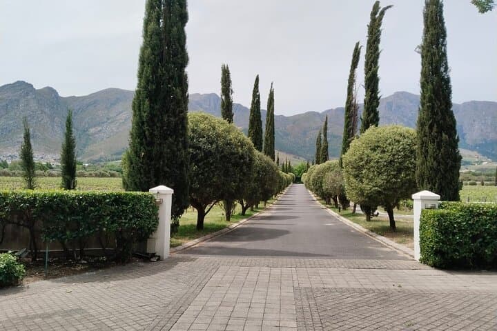 Private Cape Winelands Wine Tasting Tour: Tokara, Delheim & Fairview photo 6
