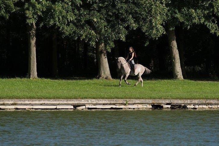 King's Day in Versailles: Private Horseback Ride, Michelin Lunch & Château Tour photo 3
