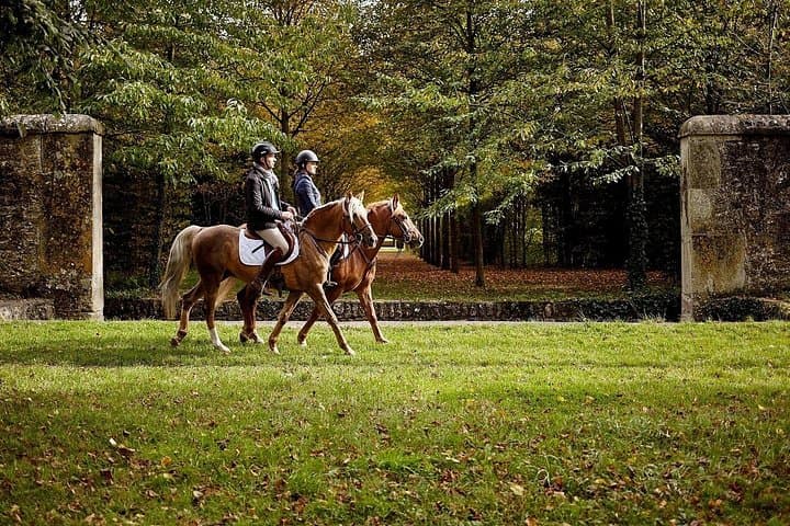 King's Day in Versailles: Private Horseback Ride, Michelin Lunch & Château Tour photo 4