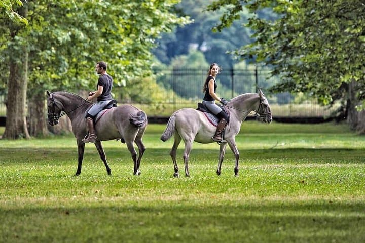 King's Day in Versailles: Private Horseback Ride, Michelin Lunch & Château Tour photo 1