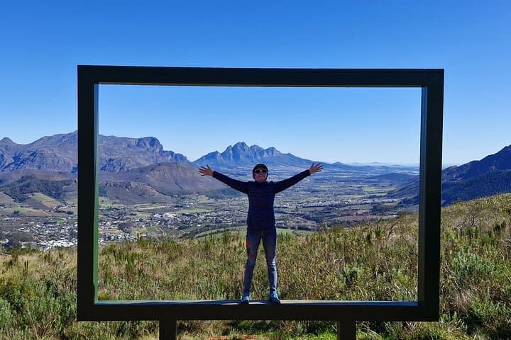 Private Driver Day Charter: Cape Peninsula, Winelands & Hermanus from Cape Town photo 5