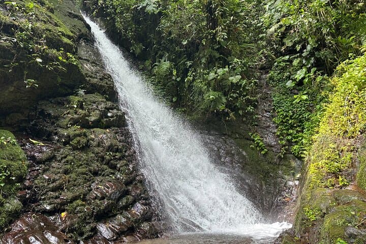 Mindo Cloud Forest Private Tour: Hummingbirds, Waterfalls & Chocolate Tasting photo 4