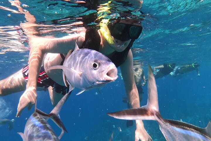 Cozumel Catamaran Snorkel: Palancar, Columbia & El Cielo with Onboard Slide photo 6