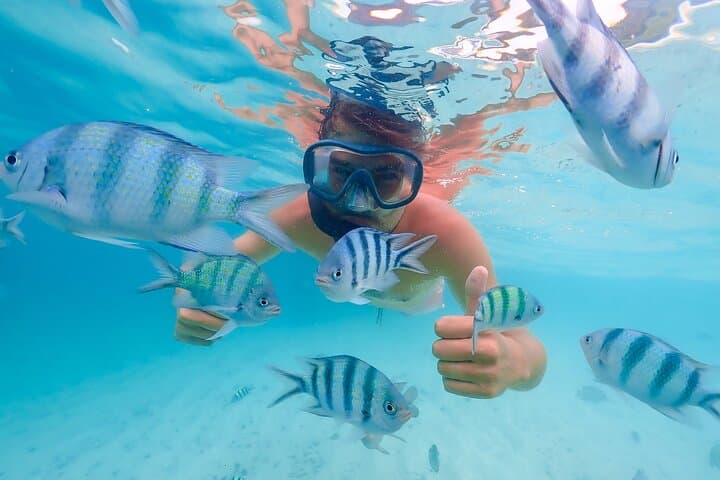 Cayo Levantado (Bacardi Island) Catamaran Excursion — Snorkel, Beach & Buffet in Samaná Bay