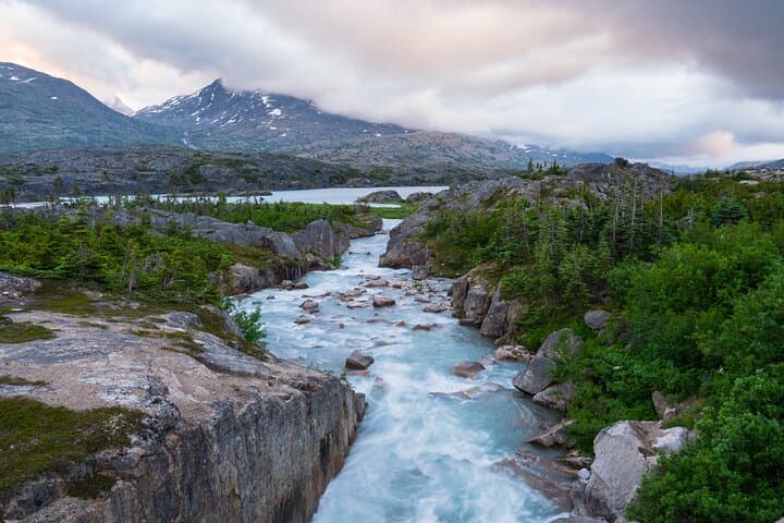 Skagway's Hidden Gem: Quiet White Pass & Klondike Highway Afternoon Tour photo 2