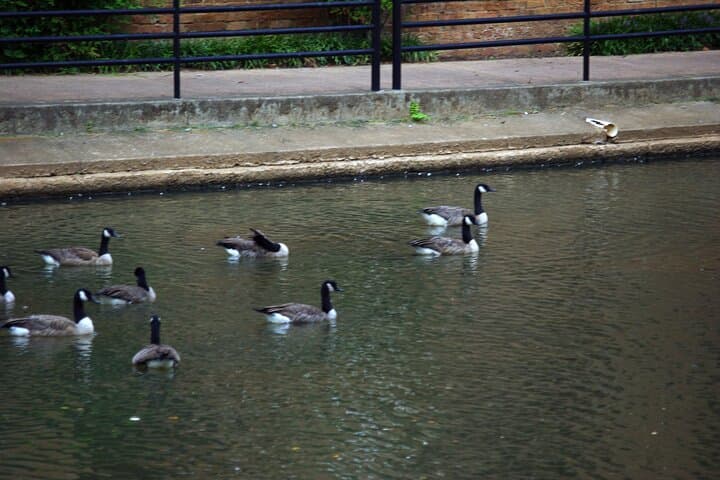 Greenville Ghost Hunt: 2-Hour Haunted Walking Tour of Downtown & Falls Park photo 2