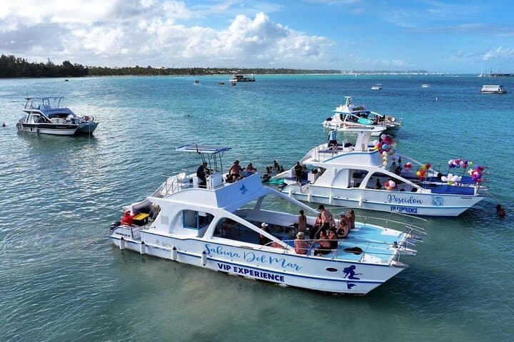 Private Punta Cana Catamaran Cruise: Snorkel, Natural Pool & Open Bar photo 6