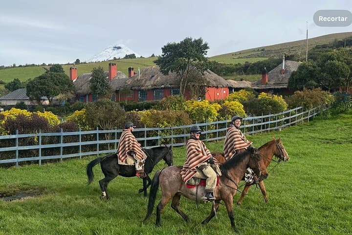 Horseback Riding at Cotopaxi National Park: Limpiopungo Lagoon Day Tour