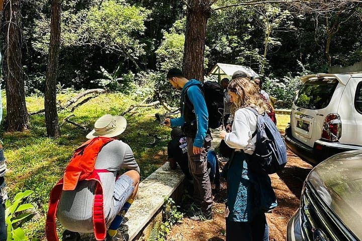 Half-Day Amber Mountain Hiking Tour from Antsiranana — Lemurs, Waterfalls & Panoramas