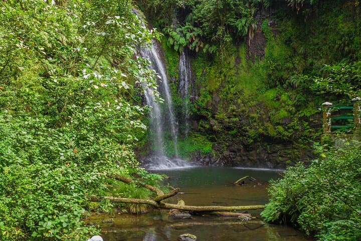Diego Suarez Shore Excursions: Amber Mountain, Red Tsingy & Three Bays (Half-Day) photo 4