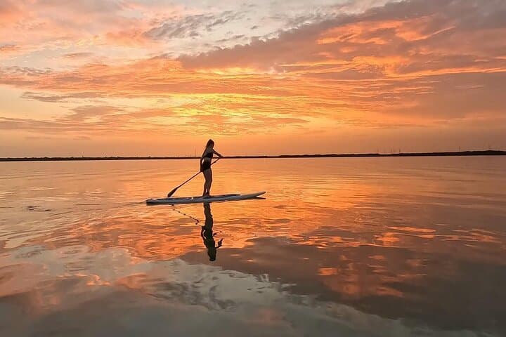 Dawn Paddle-Boarding in Yucatan: Progreso Mangrove & Yucalpetén Beach Club