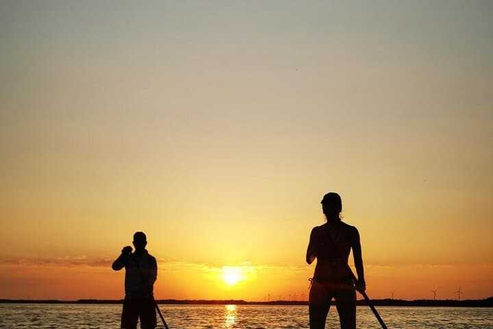 Dawn Paddle-Boarding in Yucatan: Progreso Mangrove & Yucalpetén Beach Club photo 4