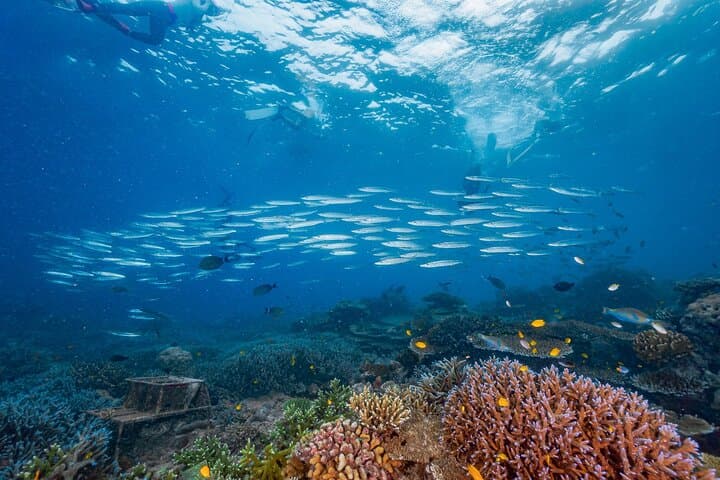 Surin Islands Snorkel Catamaran from Khao Lak — Coral Gardens, Mai Ngam Beach & Moken Village Day Trip photo 3