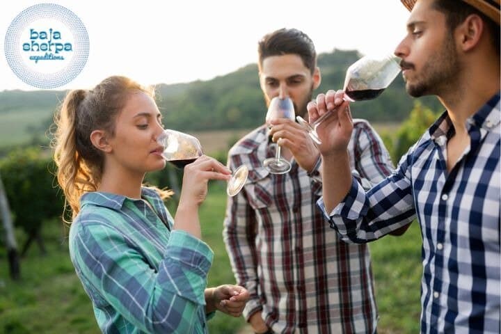 Private Luxury Wine Tour Valle de Guadalupe — 4–5 Wineries, Lunch Options & Private Transport photo 1