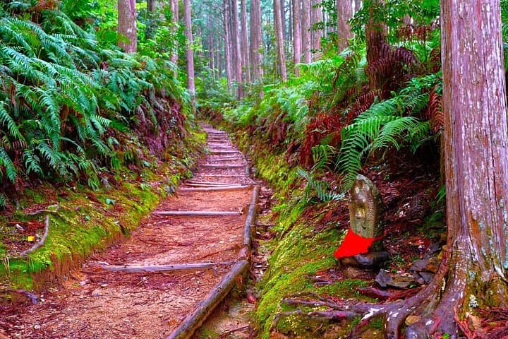walk-the-kumano-kodo-hosshinmon-oji-to-kumano-hongu-taisha-guided-pilgrimage