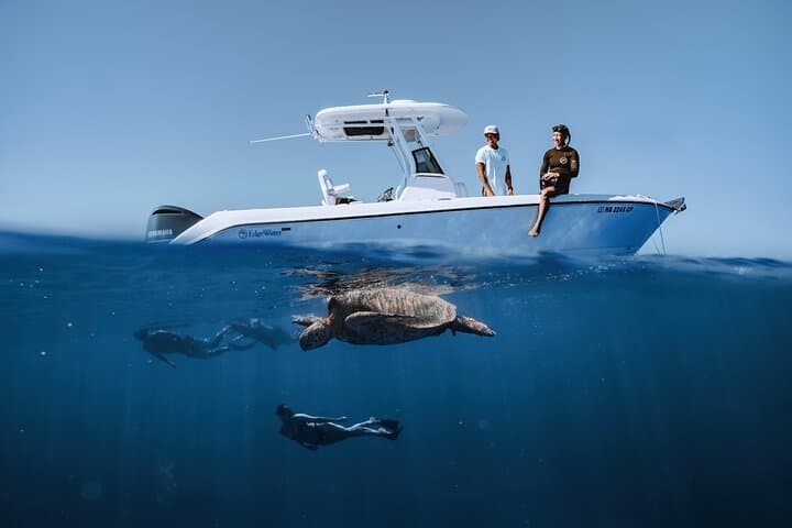 Turtle Canyon Snorkel — Semi‑Private Waikiki Sea Turtle Encounter
