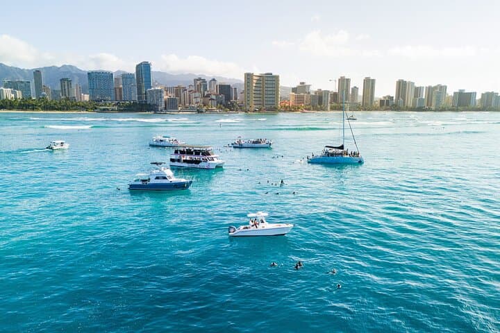 Turtle Canyon Snorkel — Semi‑Private Waikiki Sea Turtle Encounter photo 5