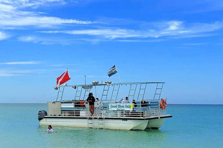 Shell Island Dolphin Sightseeing Boat Tour - 1.5-Hour Pontoon Cruise from Panama City Beach photo 3