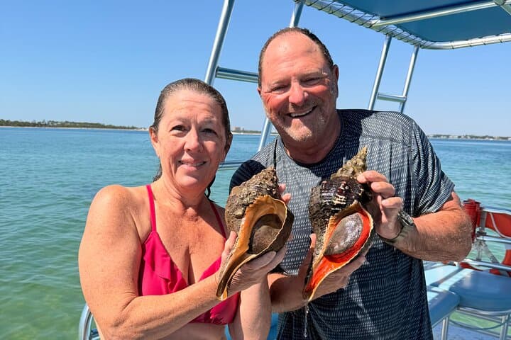 Shell Island Snorkel Tour — Panama City Beach Day Trip for Families and Wildlife photo 5
