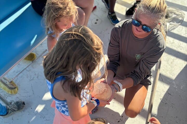 Shell Island Snorkel Tour — Panama City Beach Day Trip for Families and Wildlife photo 4