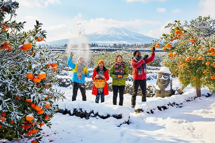 Southern Jeju UNESCO Day Tour: Hallasan Hike, Camellia Hill & Coastal Lava Cliffs