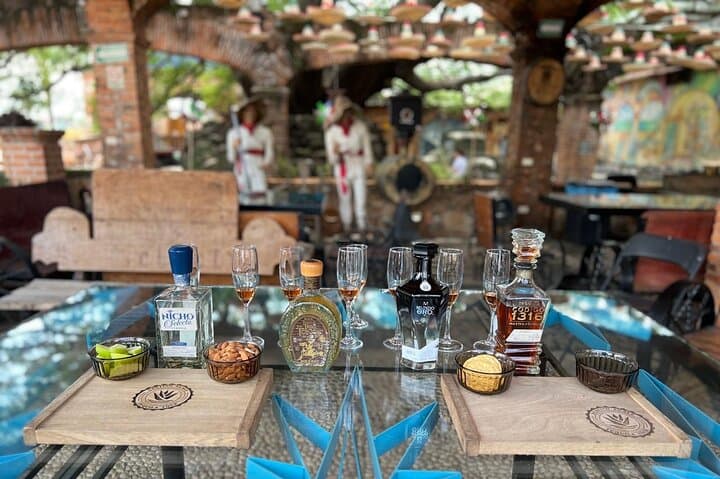 Tequila Premium Tour: Agave Fields, Distilleries & Volcano Views