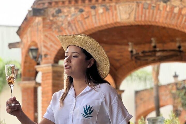 Tequila Premium Tour: Agave Fields, Distilleries & Volcano Views photo 3
