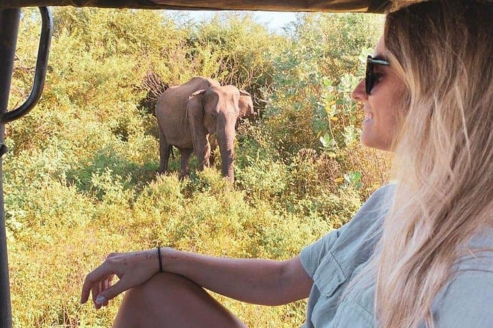 7-Day Sri Lanka Road Trip: Sigiriya, Kandy, Ella, Safari & Coast photo 1